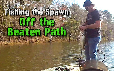 Bed Fishing - Off the Beaten Path