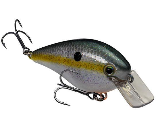 Strike King KVD Squarebill 1.5 Hard Knock Crankbait - Sexy Shad