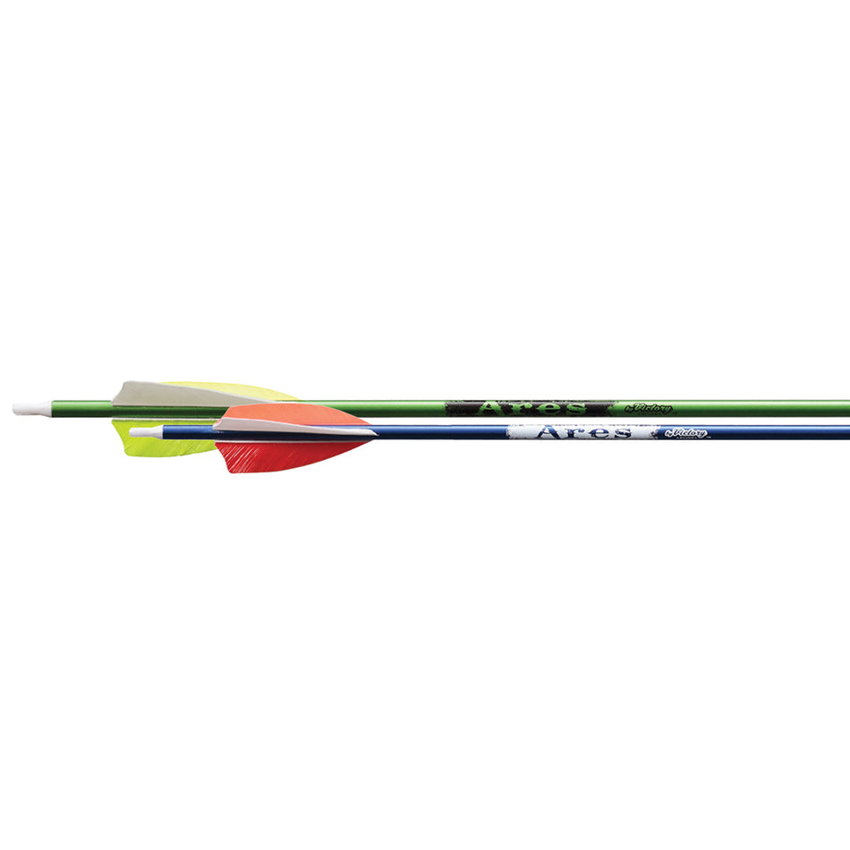 Victory Ares Youth Arrows Blue/green 72 Pk.