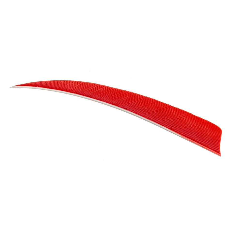 Trueflight Shield Cut Feathers Red 5 In. Rw 100 Pk.