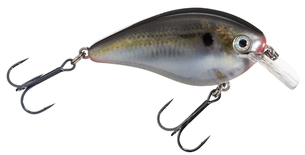 Strike King KVD Square Bill 1.5 Crankbait - Natural Shad