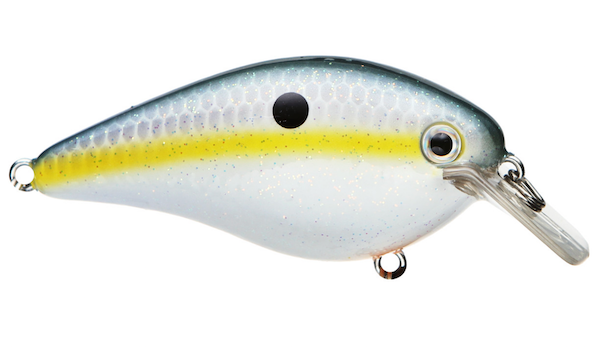 Strike King KVD Squarebill 2.5 Crankbait - Sexy Shad