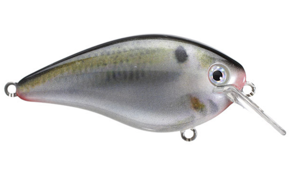 Strike King KVD Squarebill 2.5 Crankbait - Natural Shad